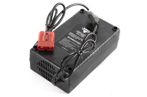 Зарядное устройство интеллектуальное для LiFePo4 аккумуляторов 24V40AH (6А)