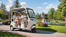 Пассажирские электротрициклы Rutrike: удобный транспорт для дачи, отдыха и закрытых территорий