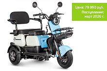 Трицикл Rutrike Вега
