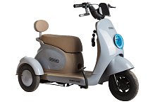 Электротрицикл Rutrike Gelbert Ogma 48V/60V 650Вт