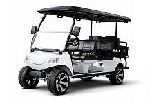 Гольфкар Rutrike Carrier 6