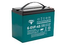 Тяговый аккумулятор RuTrike 6-EVF-45 (12V45A/H C3)